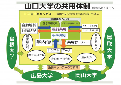 kyoyo